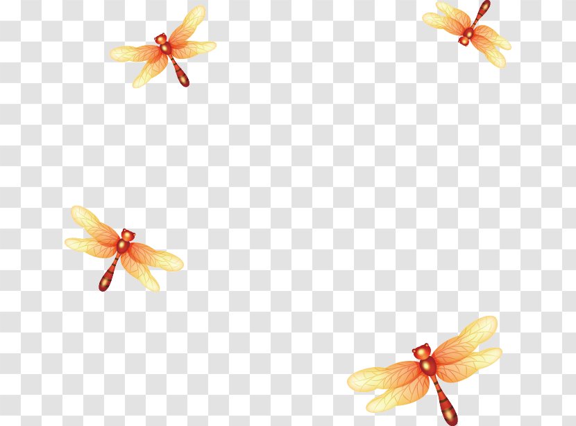 Drawing Cartoon Clip Art - Butterfly - Fantasy Dragonfly Transparent PNG