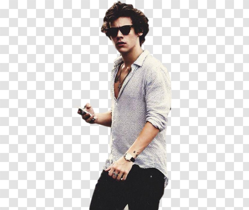 Harry Styles Holmes Chapel One Direction MUNA - Frame Transparent PNG
