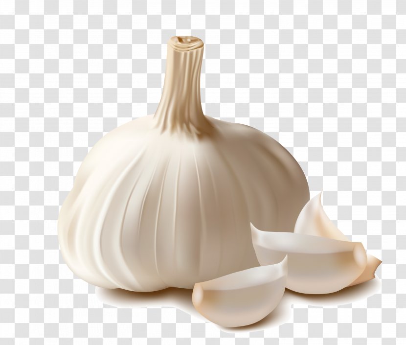 Garlic Spice Food Condiment Vegetable - Still Life Photography Transparent PNG