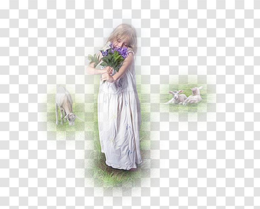 Easter Child Christmas Woman Birthday - Heart Transparent PNG