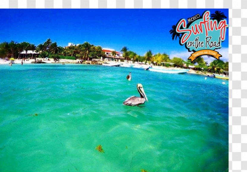 Akumal Beach Hotel Caribbean Travel - Cenote Transparent PNG