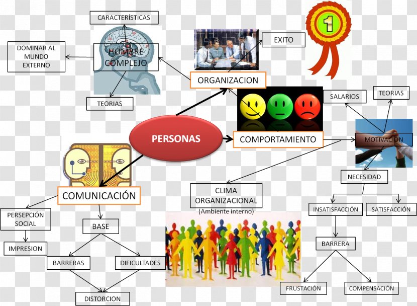 YouTube Mind Map Organization Person - Area - Youtube Transparent PNG