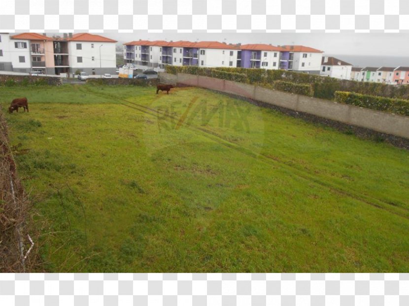 Land Lot Fence Real Property Pasture - Lawn Transparent PNG