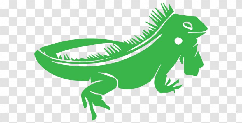 Chameleons Reptile Green Iguana Clip Art - Leaf - Barracuda Unixtitan Transparent PNG