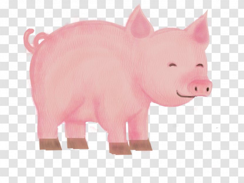 Piggy Bank - Livestock Transparent PNG