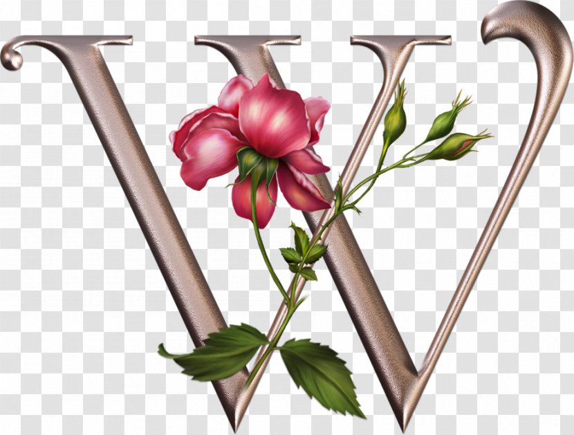 Alphabet Lettering Chữ Viết Information - A - Floral Transparent PNG