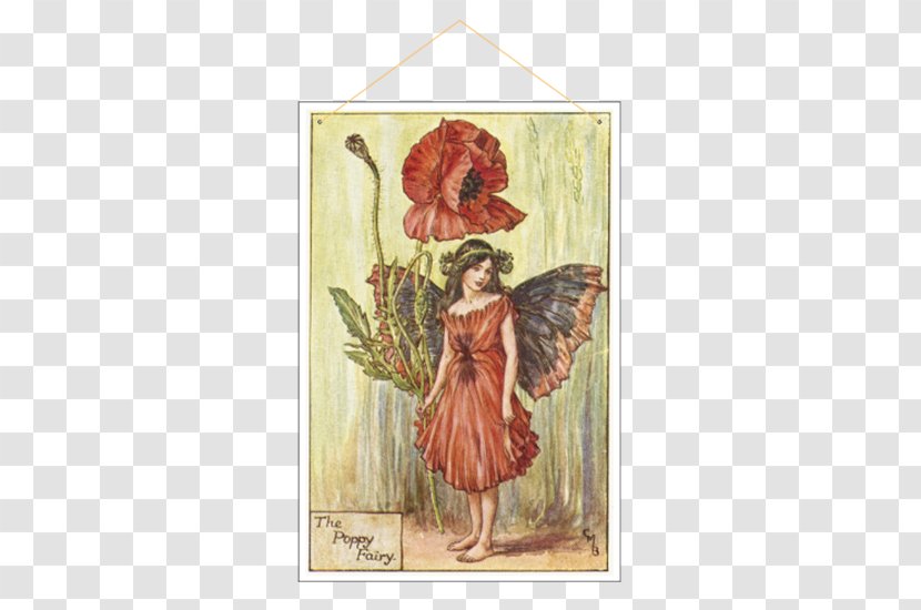 The Book Of Flower Fairies Poppy Painting Illustrator - Costume Design - Creeper Hang On Road Floral Transparent PNG