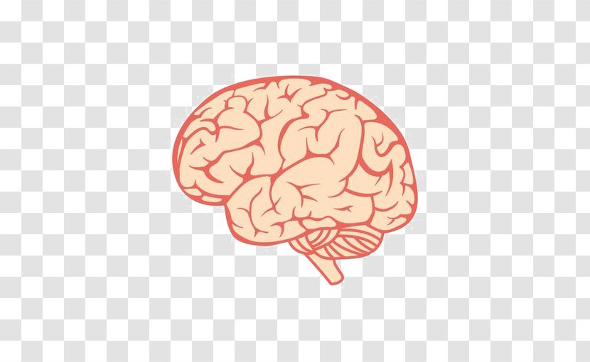 Human Brain Royalty-free Clip Art - Frame - Creative Transparent PNG