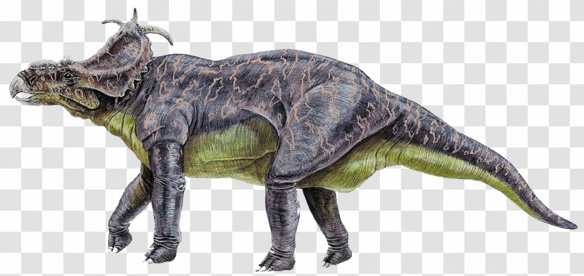 Stegosaurus Reptile Velociraptor Pachyrhinosaurus Dinosaur - Cretaceous Transparent PNG