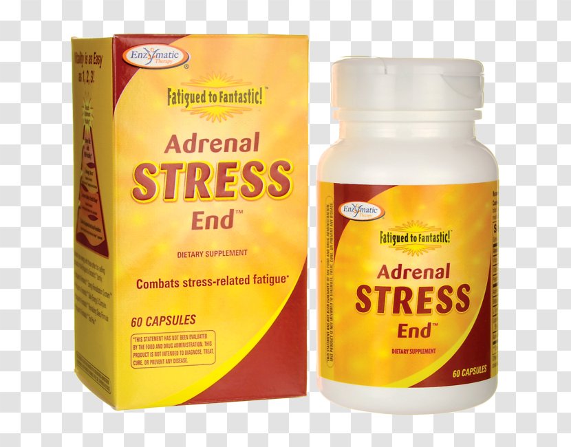 Dietary Supplement Adrenal Fatigue Capsule Stress Feeling Tired - Gland - In The Morning Transparent PNG