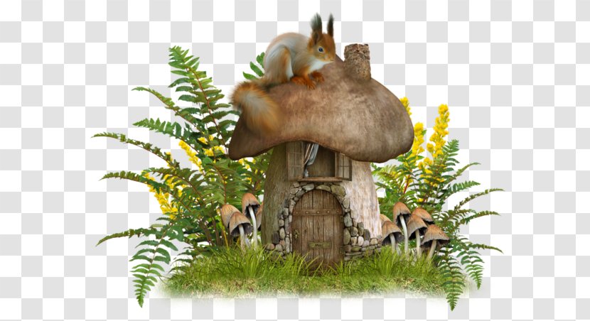 Mushroom - Organism - Grass House Transparent PNG