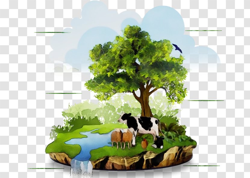 Natural Landscape Tree Plant Grass Woody - Oak Transparent PNG