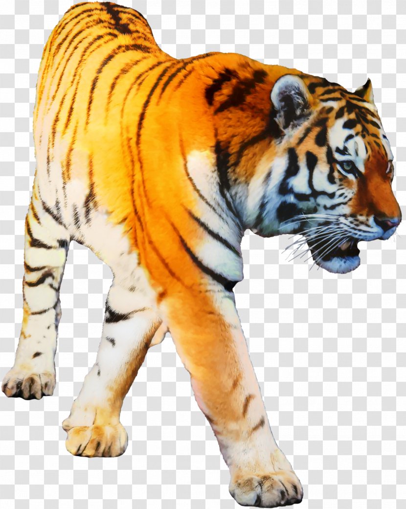Tiger Transparency Clip Art Desktop Wallpaper - Mammal - Terrestrial Animal Transparent PNG