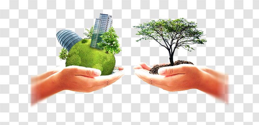 Sustainability Organization EOS Worldwide, LLC Business Management Transparent PNG