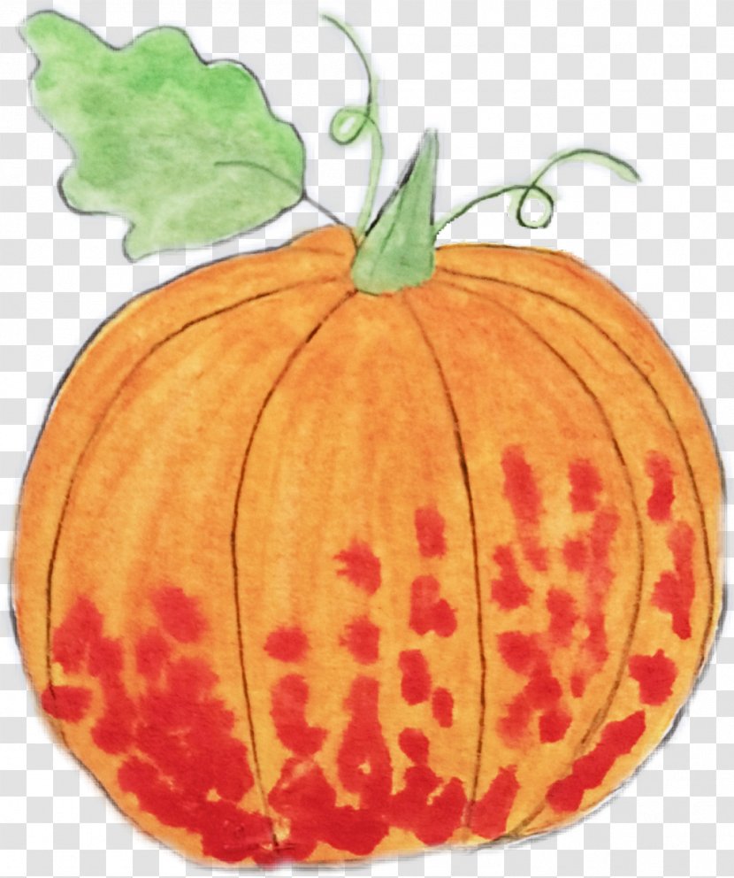 Pumpkin - Winter Squash - Cucurbita Transparent PNG