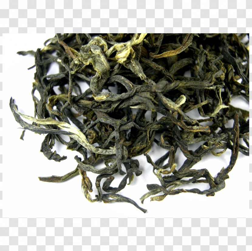 Darjeeling Tea White Oolong - Green Transparent PNG