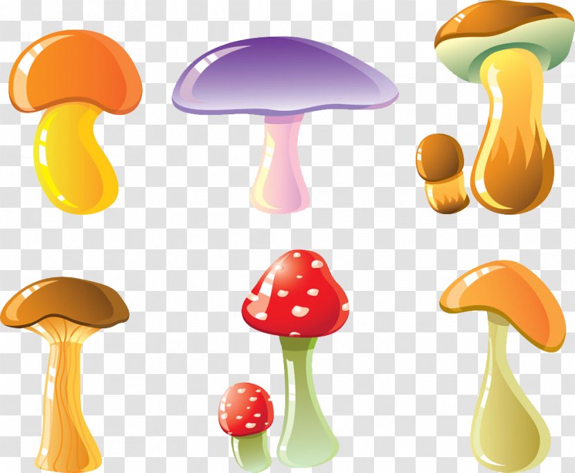 Edible Mushroom Euclidean Vector Cartoon - Shiitake Transparent PNG
