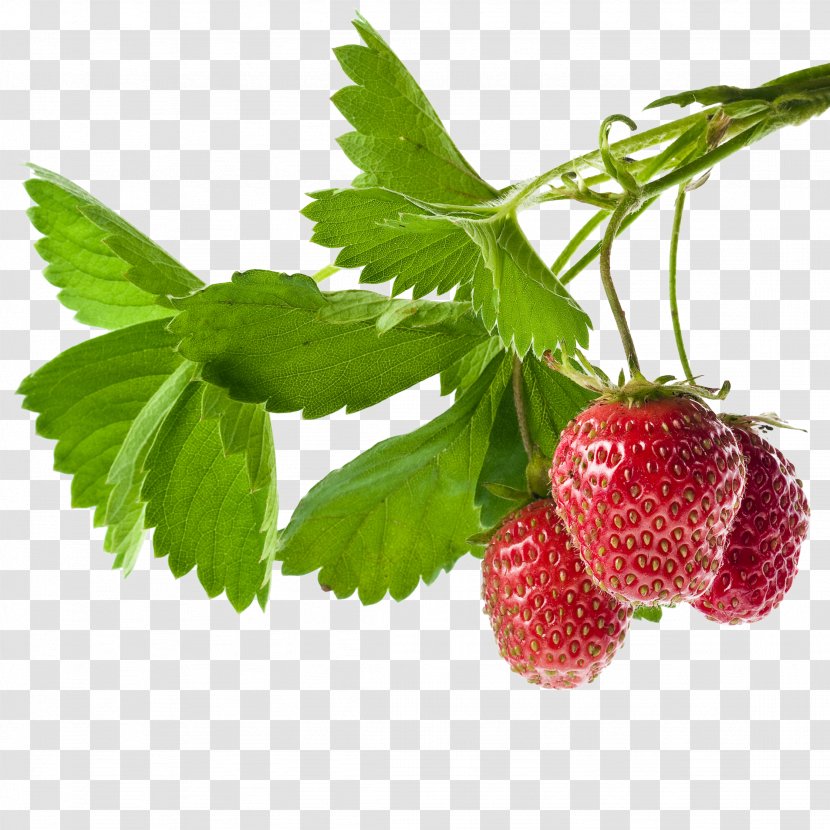 Strawberry Food Fruit - Superfood Transparent PNG