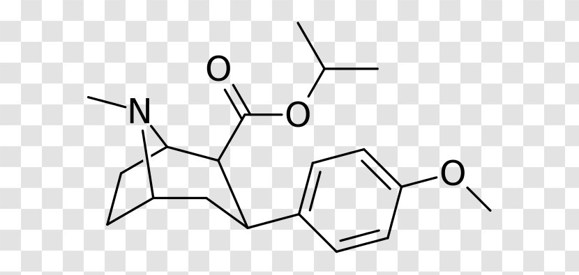 Phenyltropane Tropane Alkaloid Cocaine Dopamine Reuptake Inhibitor - Diagram Transparent PNG