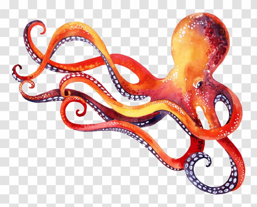Octopus Marine Invertebrates Cephalopod Animal - Invertebrate Transparent PNG
