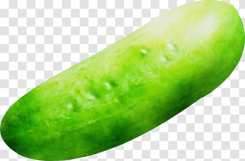 Green Cucumber Winter Melon Plant Fruit - Gourd And Family Transparent PNG