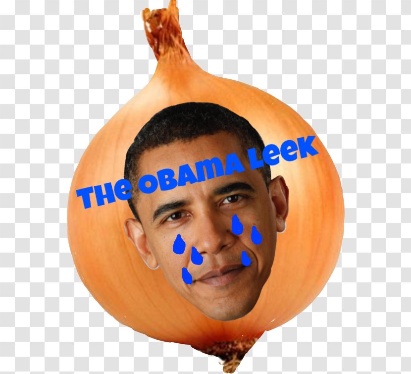Pumpkin Calabaza Winter Squash United States Of America - President The - Donald Trump Childhood House Address Transparent PNG