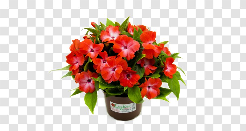 Floral Design 野田麗花園 Flower Bouquet Florist - Orange Orchid Transparent PNG