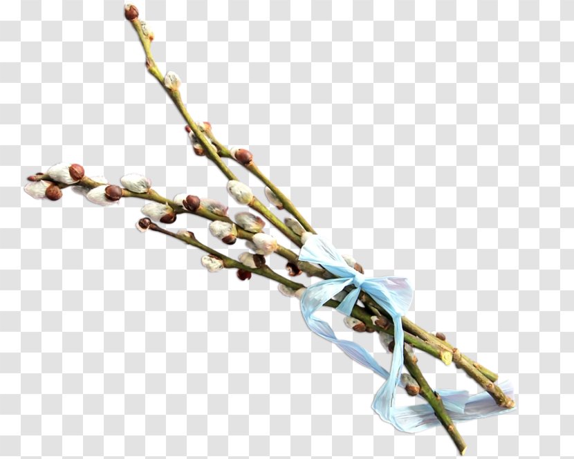 Twig Branch - Gratis Transparent PNG