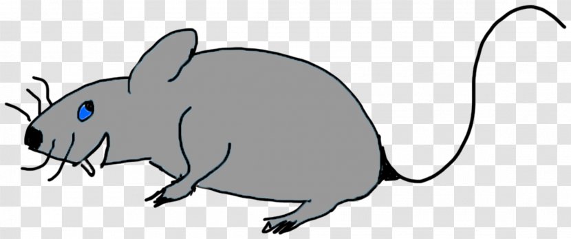 Whiskers Computer Mouse Snout Fauna Clip Art Transparent PNG