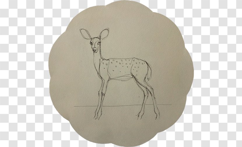 Antelope Goat Reindeer Sheep Fauna - Wildlife - Black Ink Painting Canvas Transparent PNG