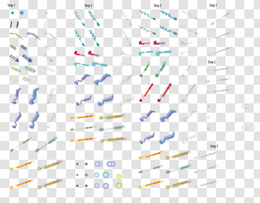 T Helper 17 Cell Cellular Differentiation Antigen-presenting - Antigenpresenting - Pathway Transparent PNG