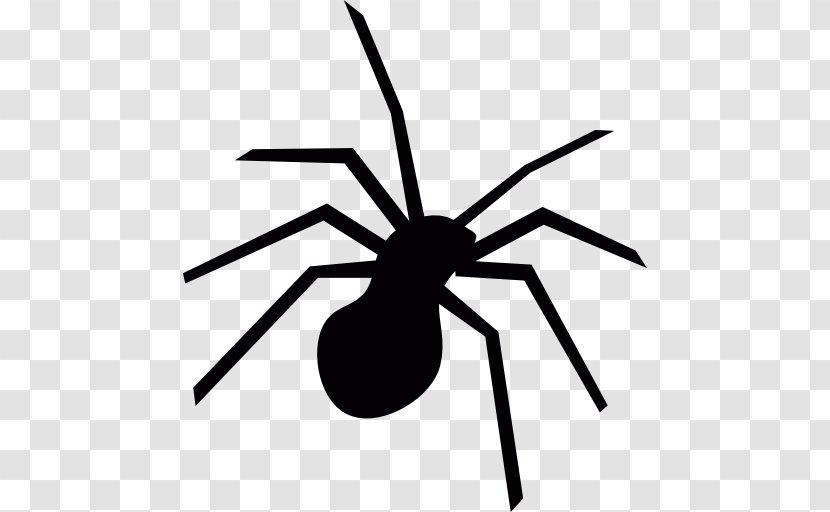Spider - Pest - Tangle Web Transparent PNG