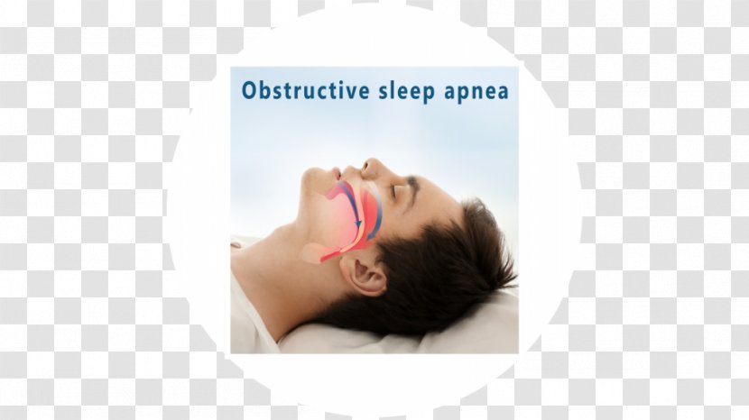 Obstructive Sleep Apnea In Adults - Text Transparent PNG