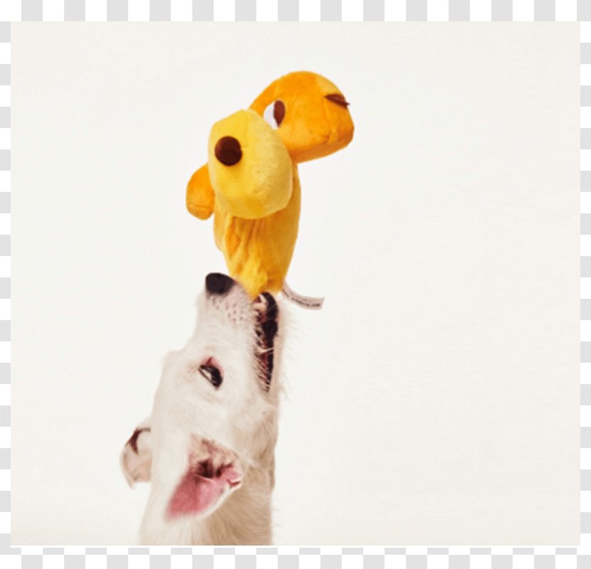 Giraffe Stuffed Animals & Cuddly Toys Snout - Organism - The Toy Dog Transparent PNG