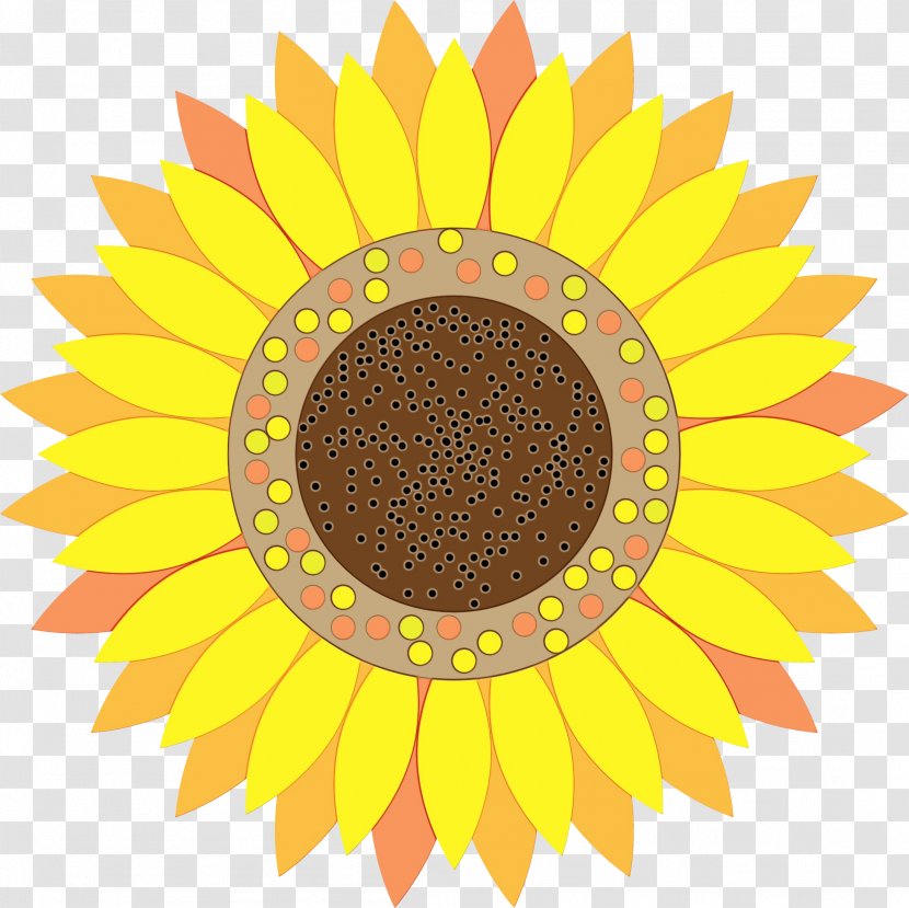 Drawing Of Family - Plant - Daisy Sunflower Seed Transparent PNG