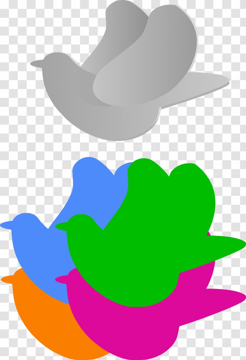 Rock Dove Columbidae Bird Clip Art - Flower - Birds Transparent PNG