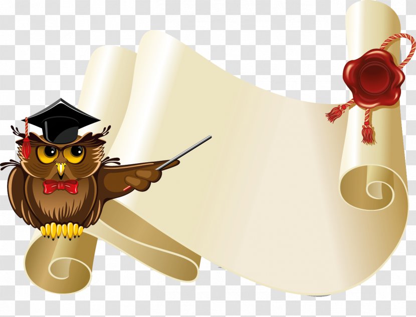 Owl Photography Clip Art - Stock - Owls Transparent PNG