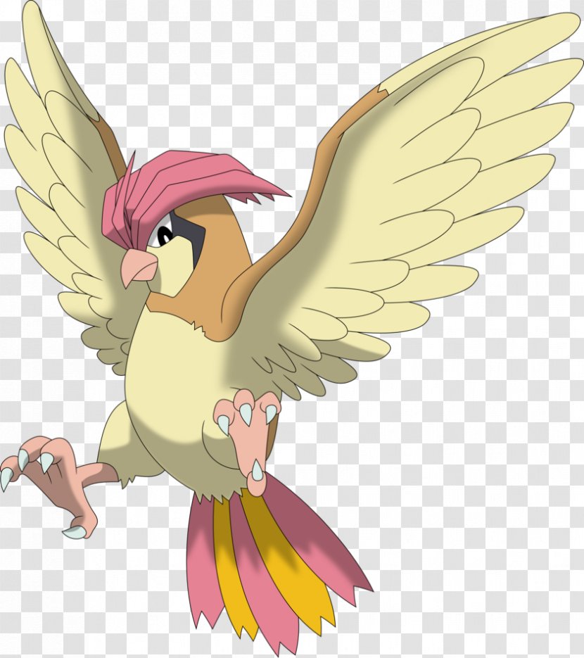 Pokémon Omega Ruby And Alpha Sapphire Ash Ketchum GO Yellow Pidgeotto - Fictional Character - Pidgeot Transparent PNG