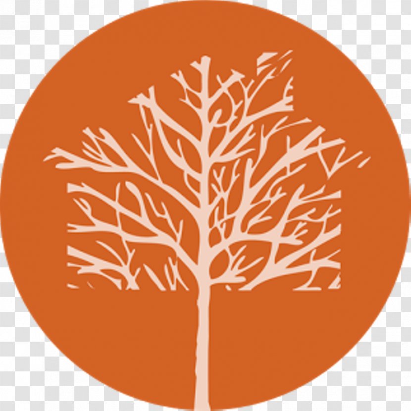 Professional Tree Surgeons Creative Co-Op, Inc. Horticulture Arborist - Surgery - Service Transparent PNG
