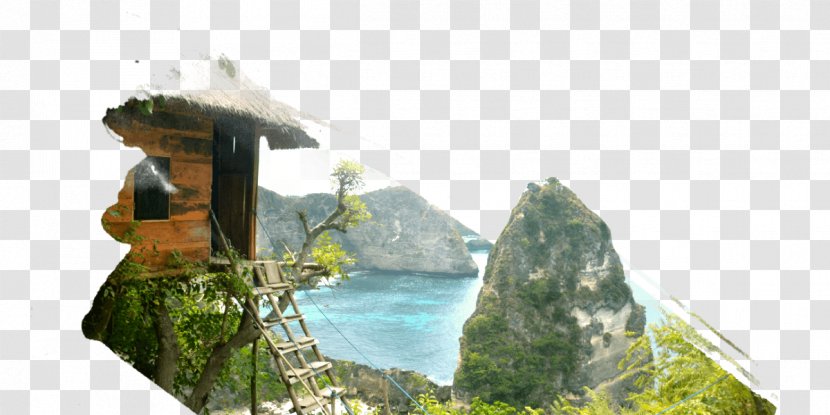 Paket Tour Nusa Penida Trip Tourist Attraction Tourism - Snorkeling Transparent PNG