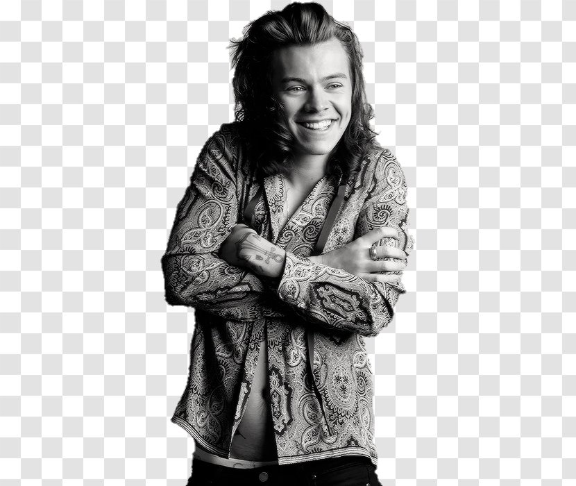 Harry Styles One Direction Singer-songwriter Male - Frame Transparent PNG