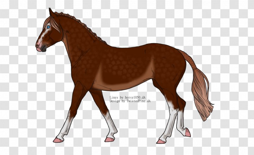 Mustang Foal Mare Stallion Colt - Horse Like Mammal - Minimal Tobiano Transparent PNG