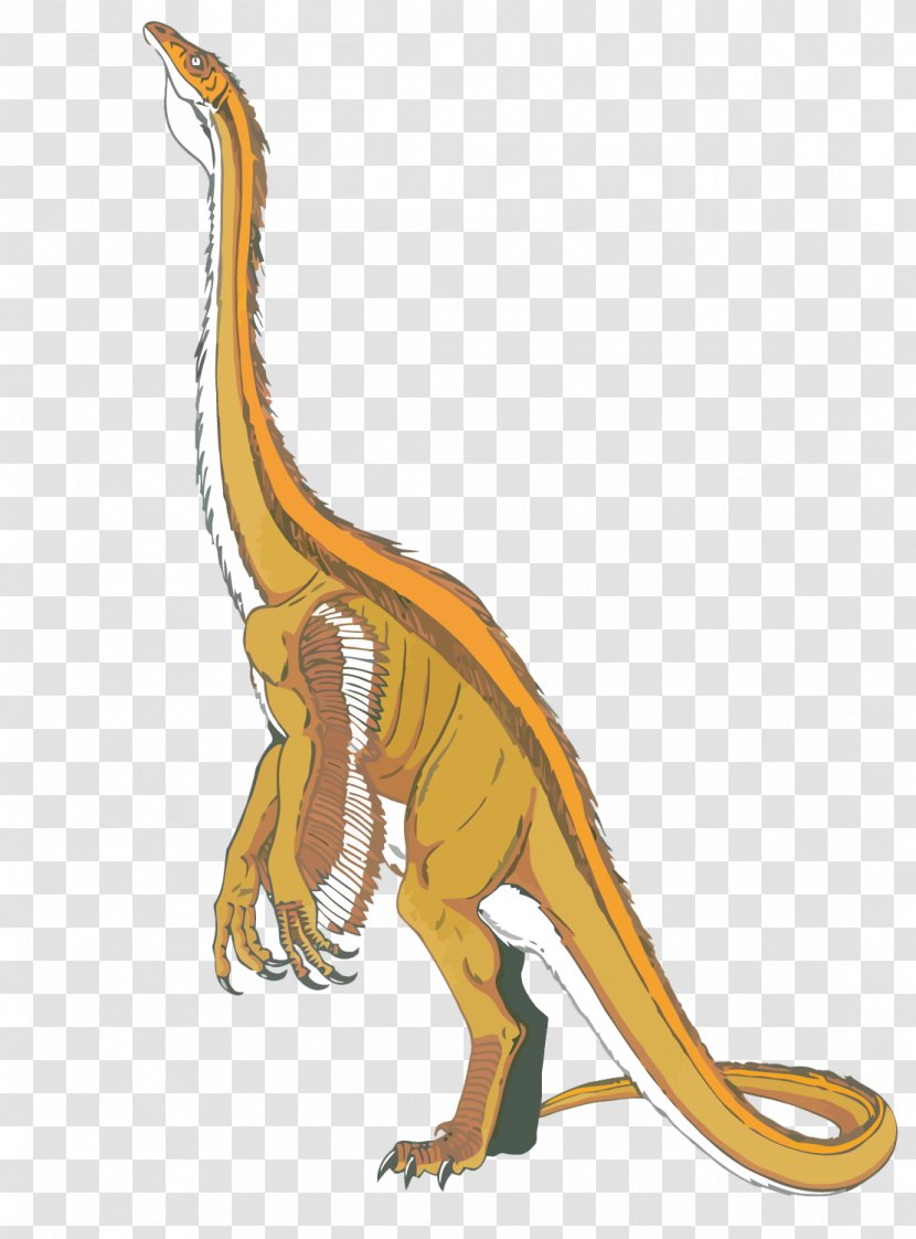 Velociraptor Tyrannosaurus Dinosaur - Vector Dinosaurs Transparent PNG