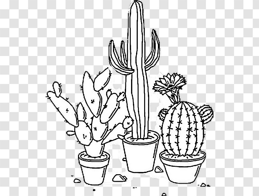 Drawing Taurus Art Lock Screen - Line - Cactus Flower Transparent PNG