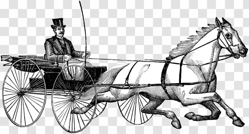 Horse And Buggy Wagon Harnesses Cart Chariot - Coachman - French Graphics Fairy Transfers Transparent PNG