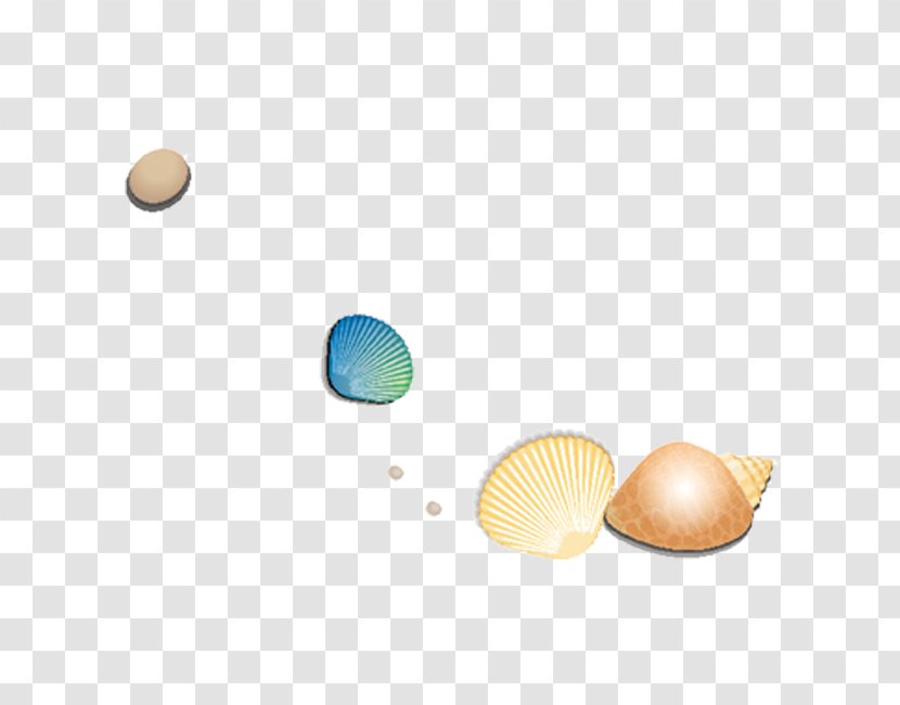 Material Pattern - Shell Transparent PNG