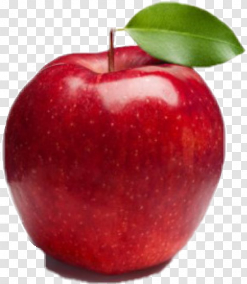 Apple Fruit Gala Fuji Food - Accessory - Red Transparent PNG