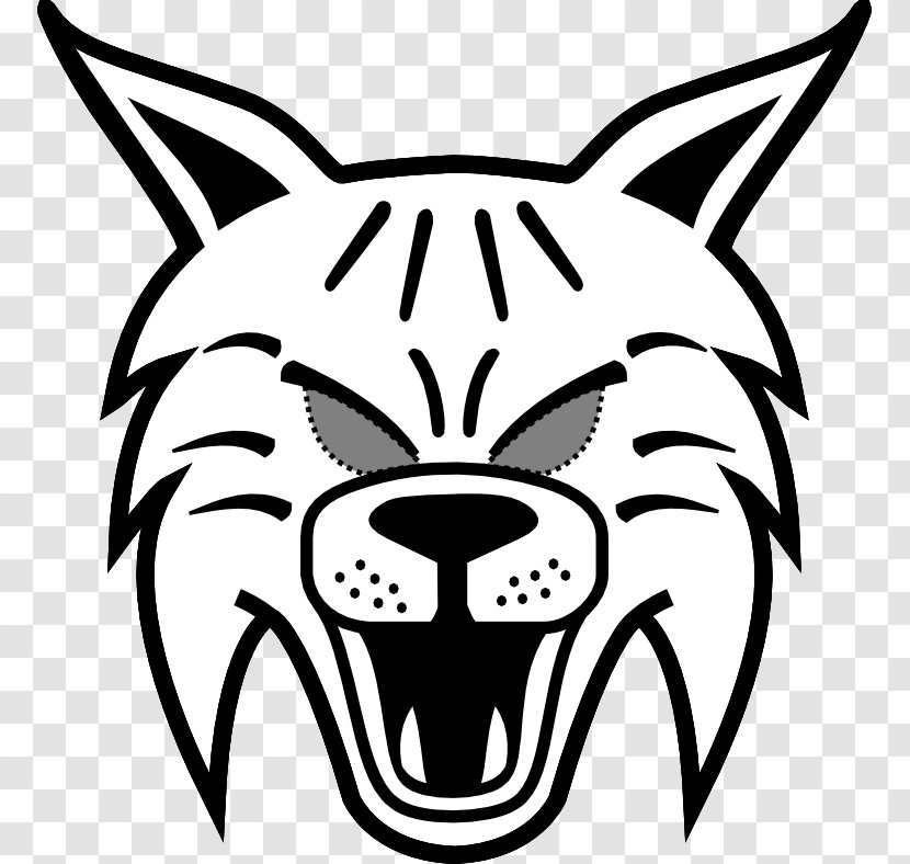 Bobcat Whiskers Drawing Mask Image - Coloring Book Transparent PNG