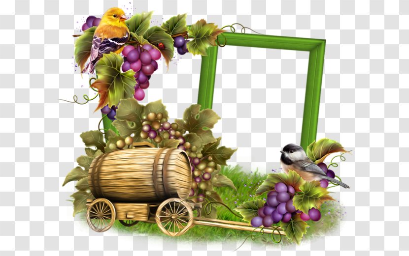 Grape Picture Frames Drawing Clip Art Transparent PNG