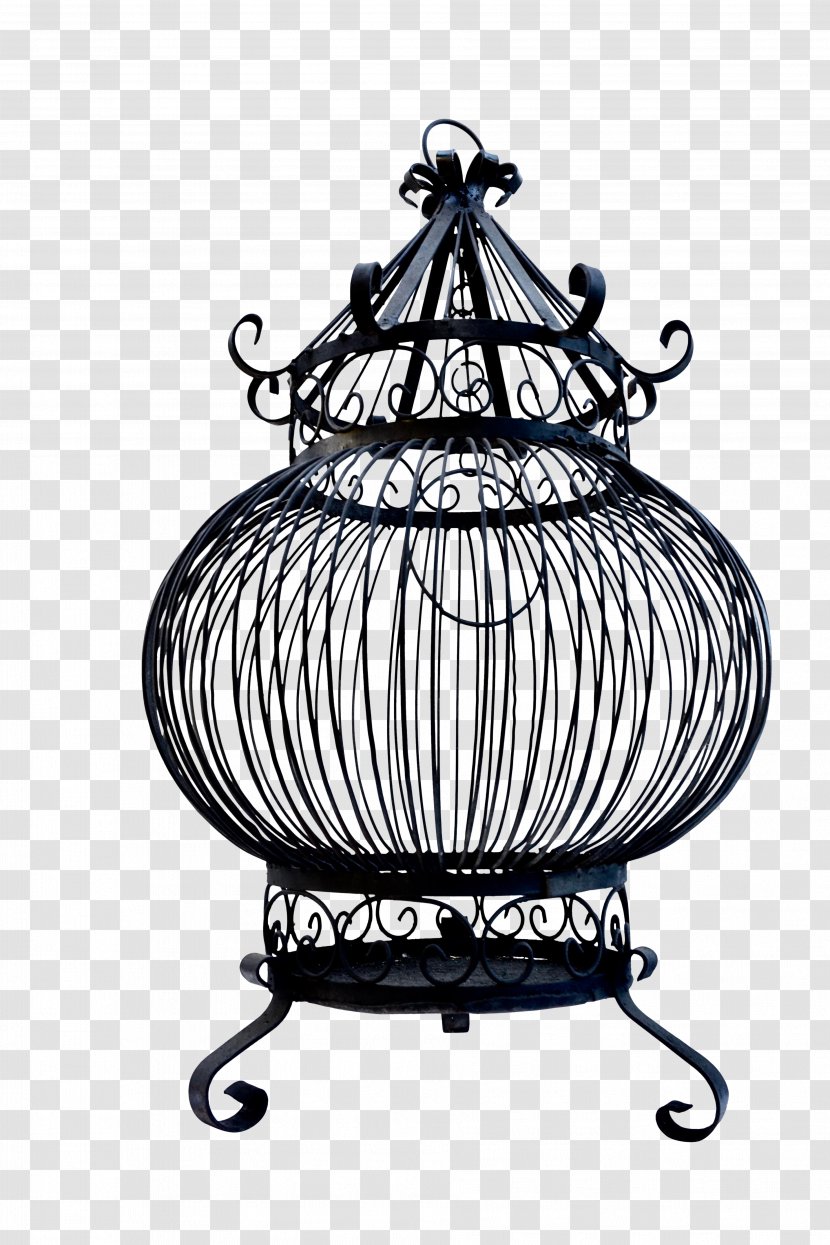 Bird Cage - Home Accessories - Serveware Metal Transparent PNG